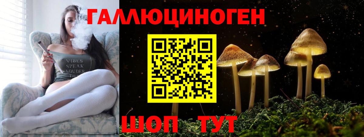 Галлюциногенные грибы прущие грибы  Псилоцибиновые грибы мицелий  Вход с VPN  Спасск-Дальний 